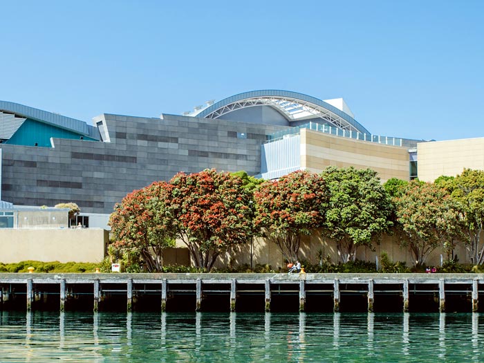 Te Papa seen from the water